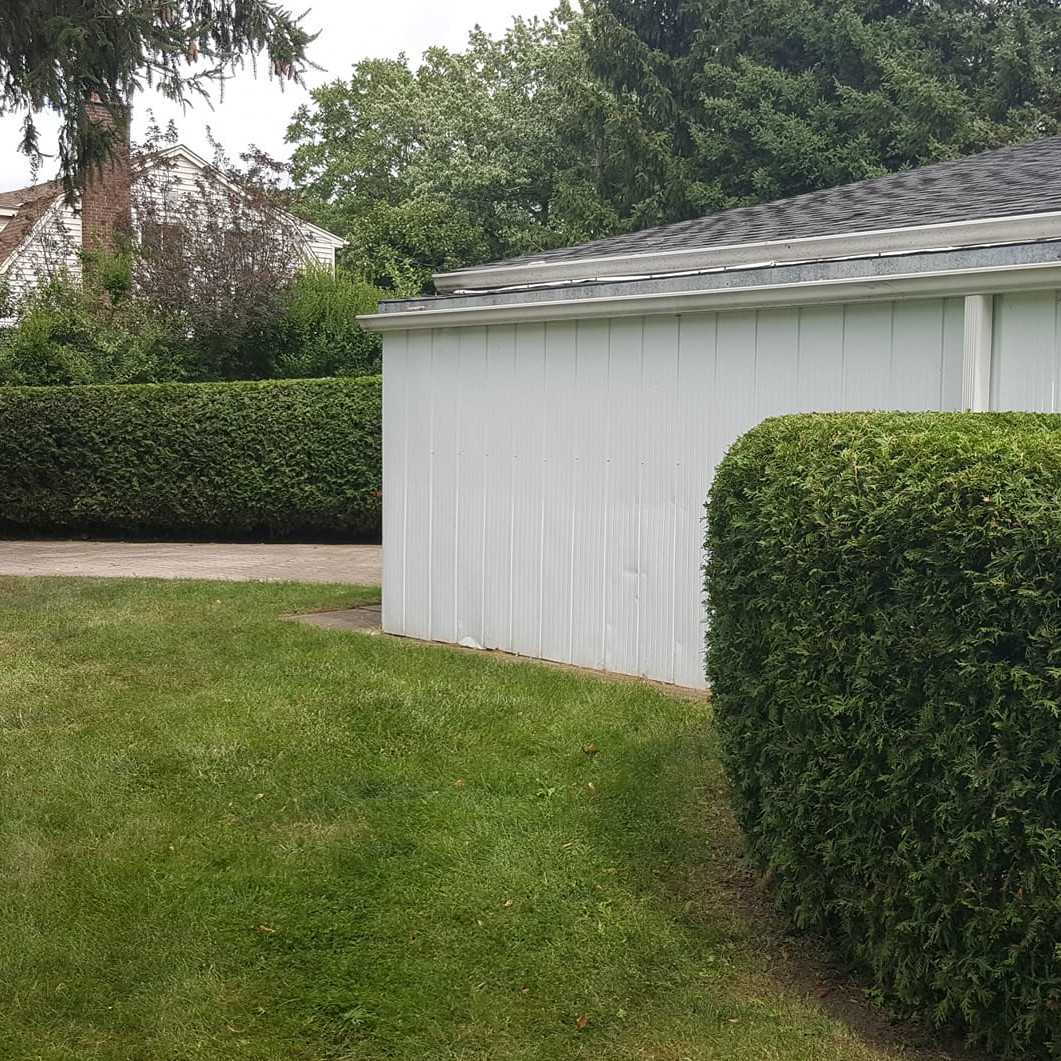 Residential Hedge Trimming